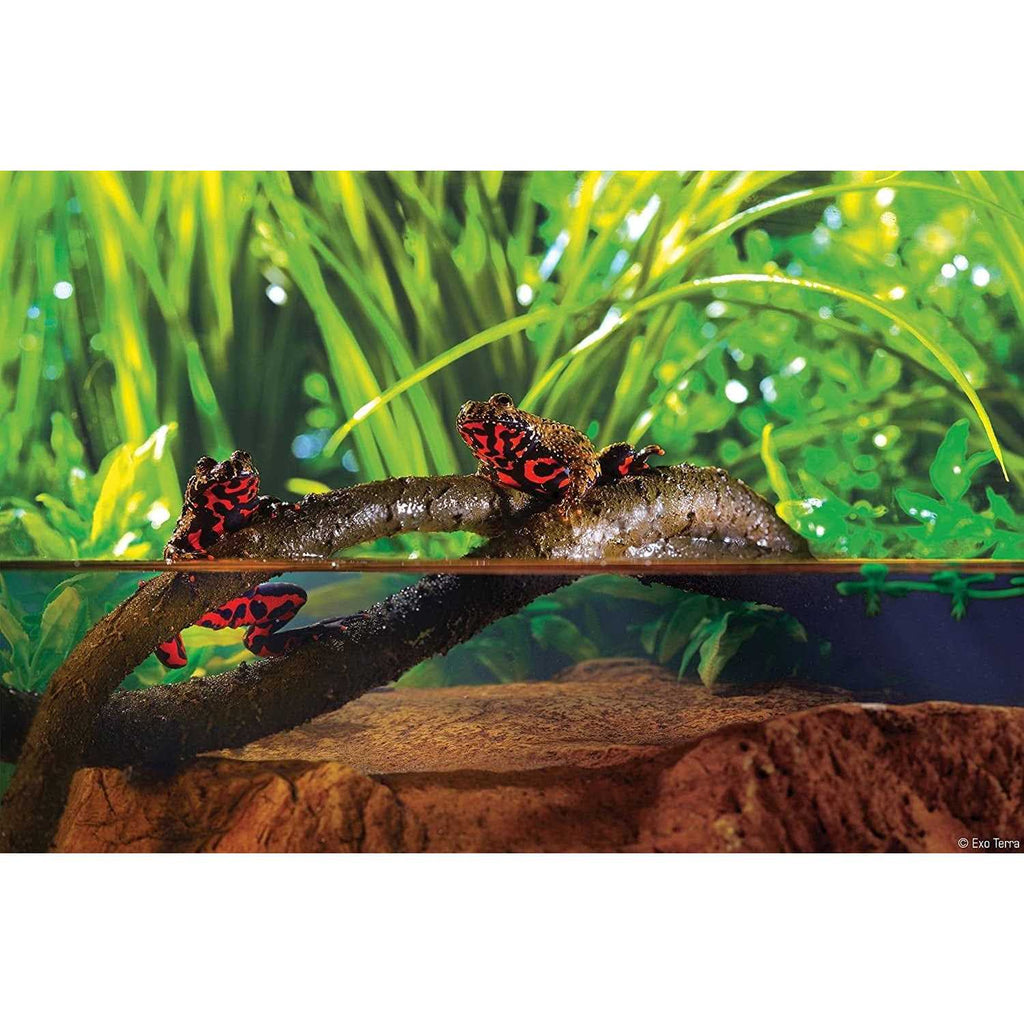 Jungle Vine Z949195