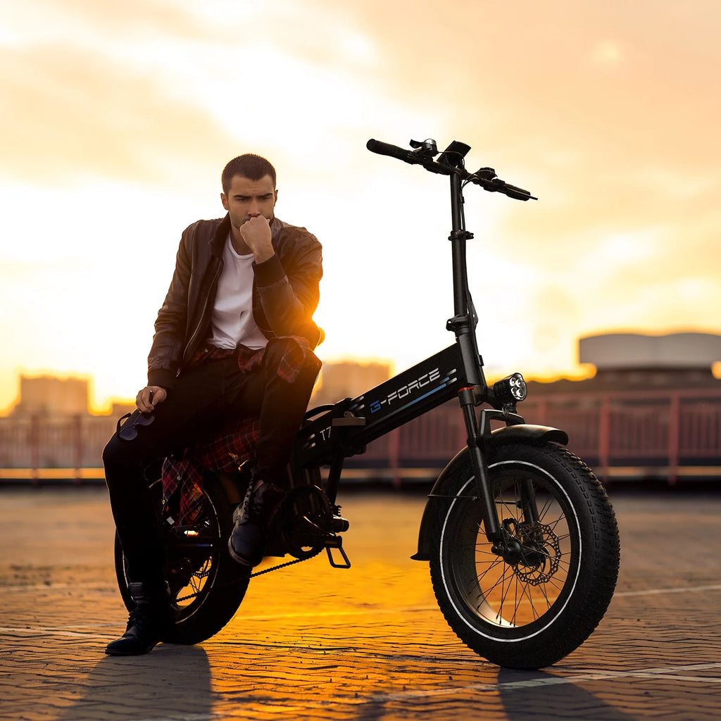 20 x 4 Fat Tire 750W Electric Bike F62174