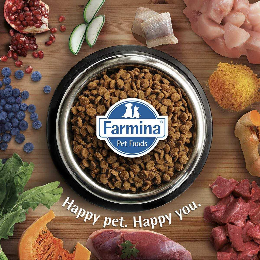 Quinoa Dog Food R5231