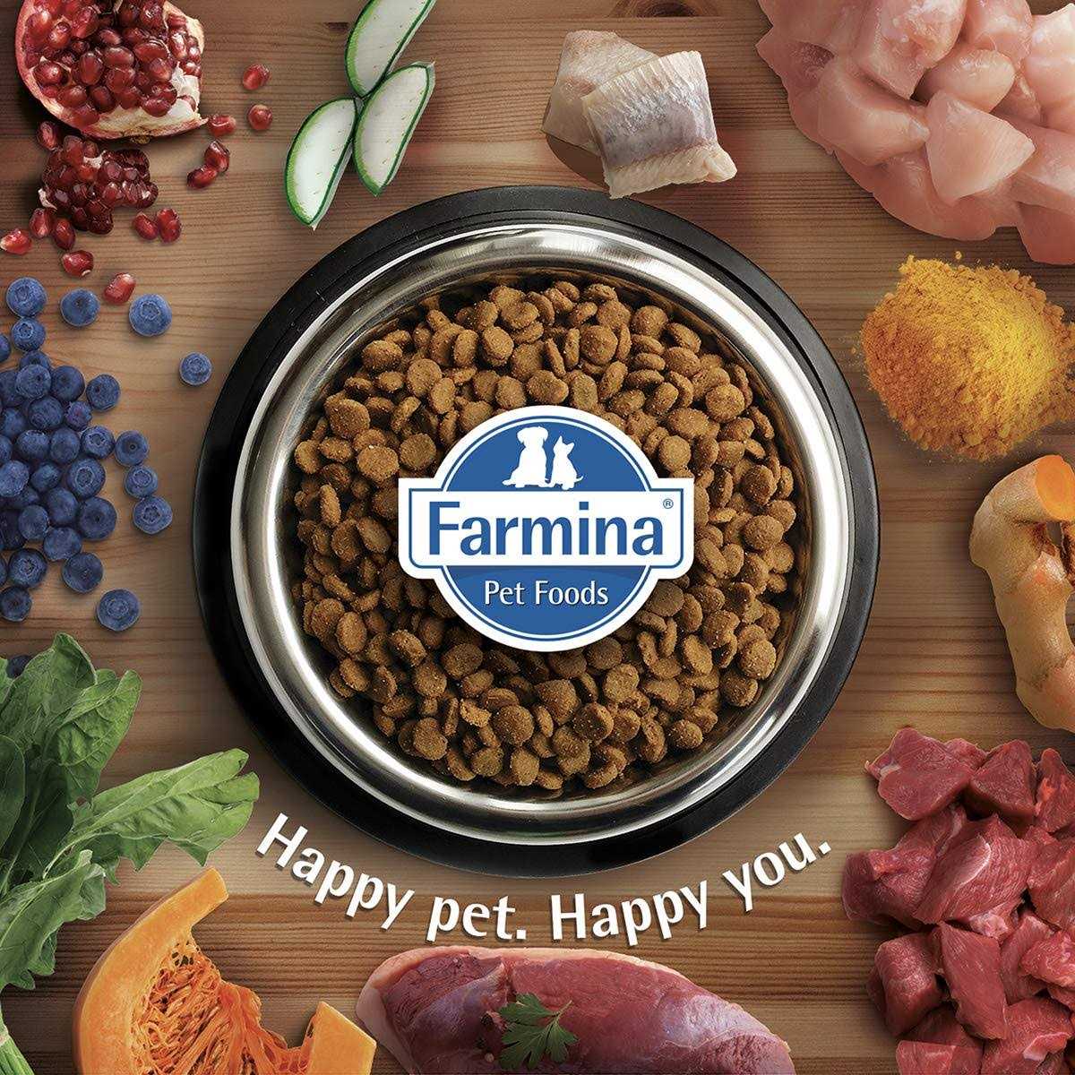 Quinoa Dog Food R5231