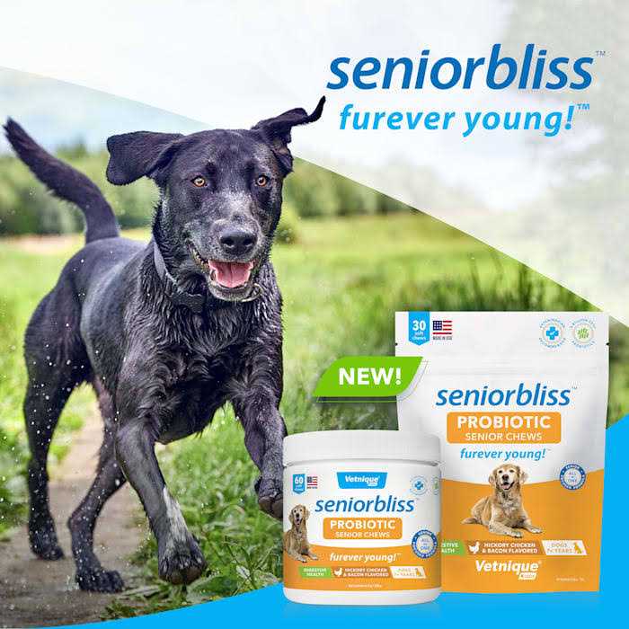 Supplement for Senior Dogs S691
