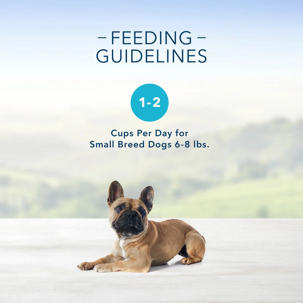 Grain-Free Pate Wet Dog Food Variety Pack, 3.5 oz. Cups (12 Pack) I7056