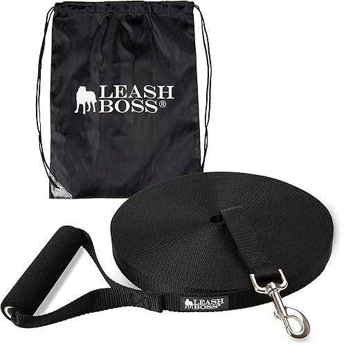 Dog Leash X989