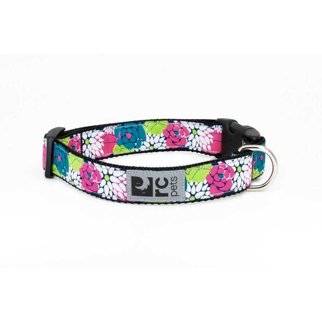 Dog Collar V991