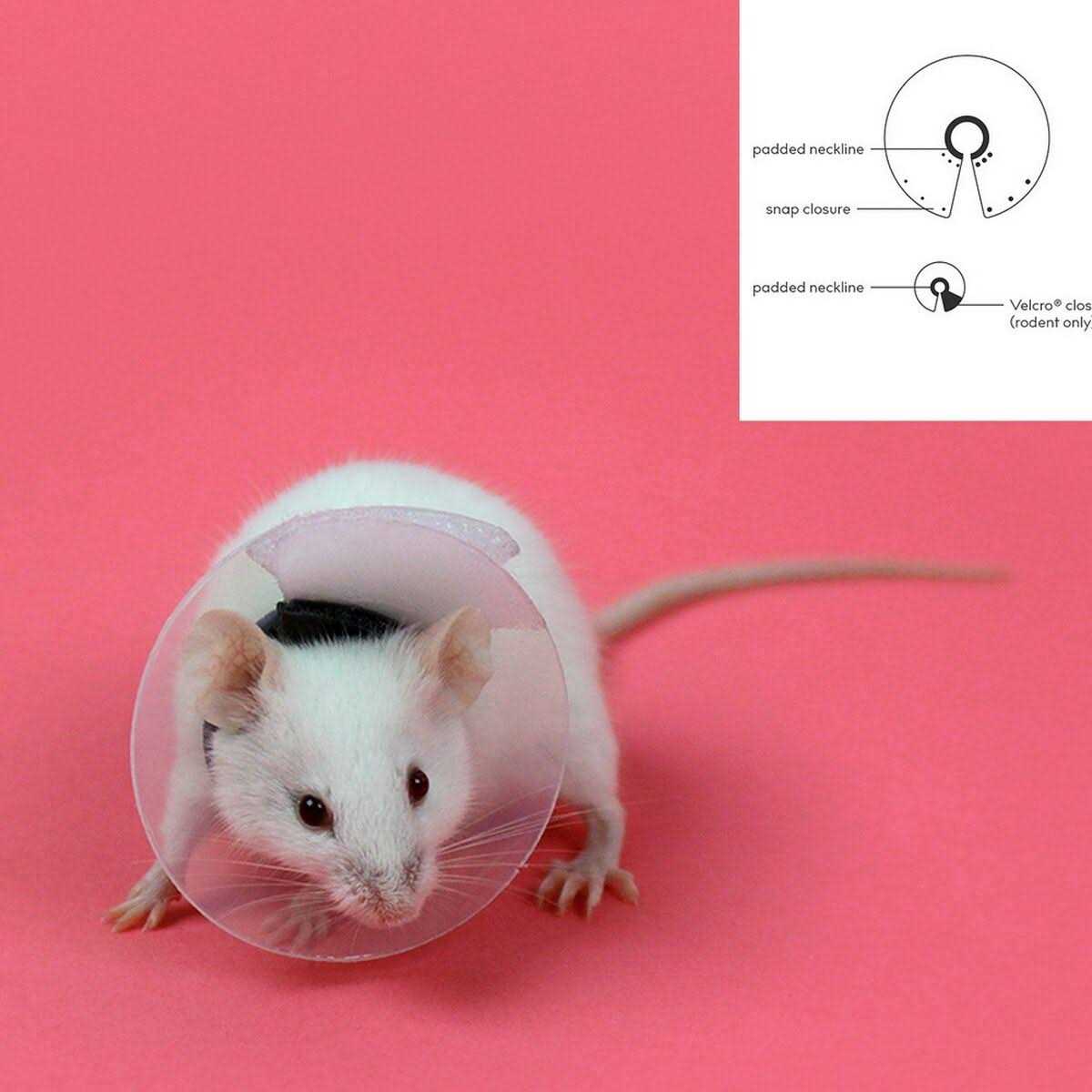 Collar Rodents Pet Supplies N769