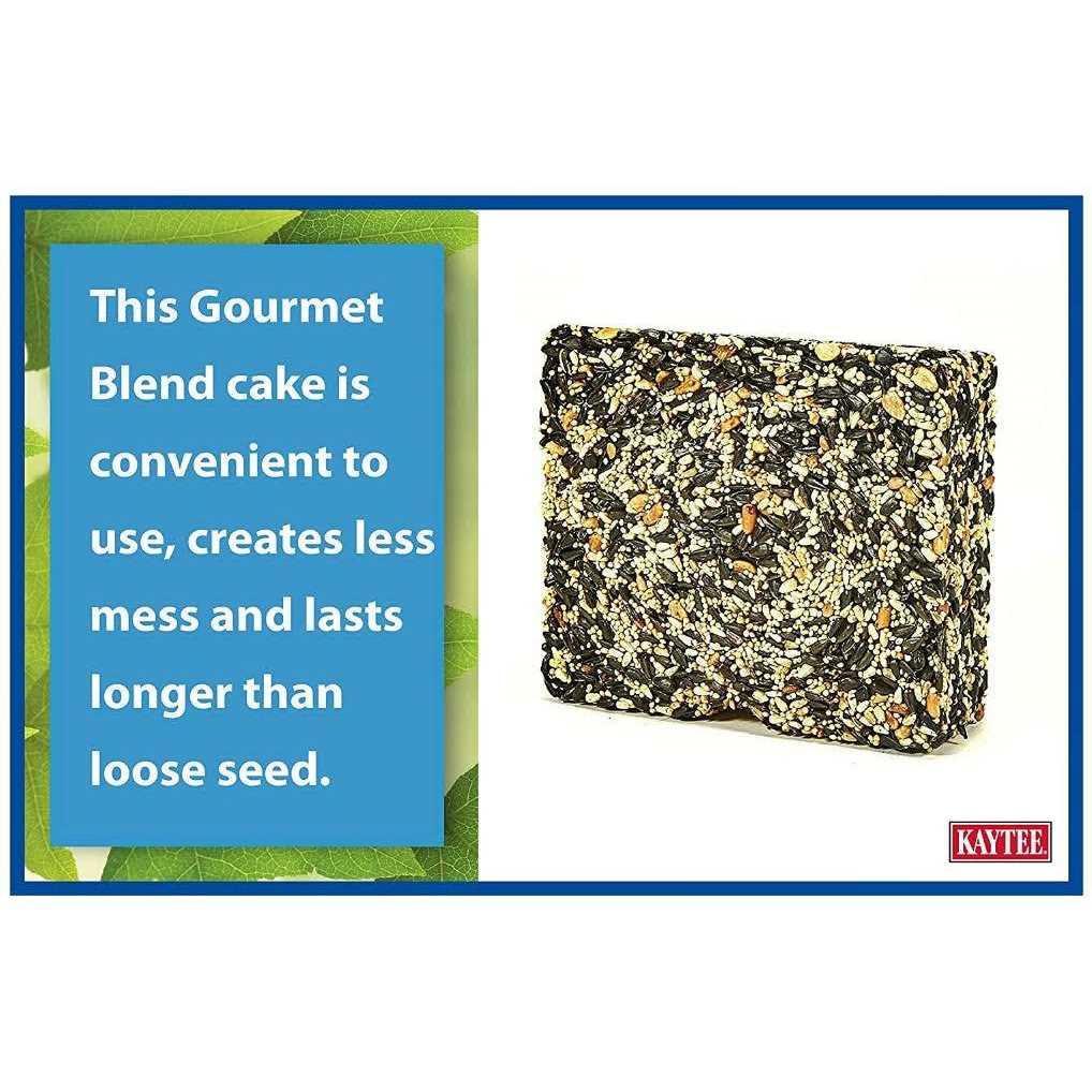 Gourmet Seed Cake X5518