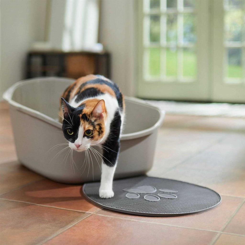 High Back Cat Litter Box A603
