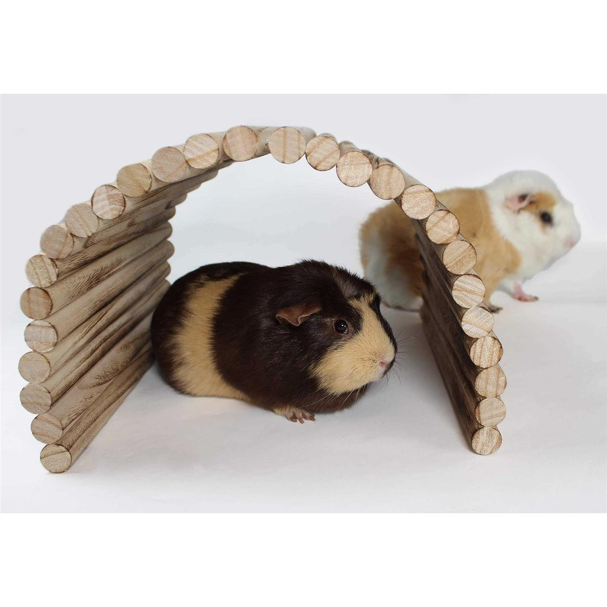 Extra Large Wood House Tunnel Ramp K3538
