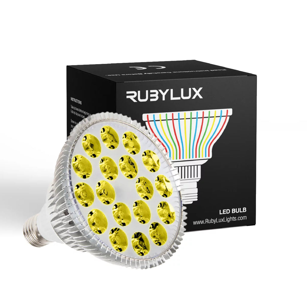 Yellow LED Bulb Large 120V W1456