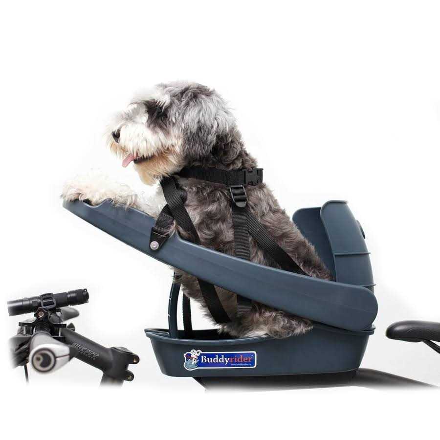 Dog Bicycle Seat for Dogs Up To 25 lbs Q25323