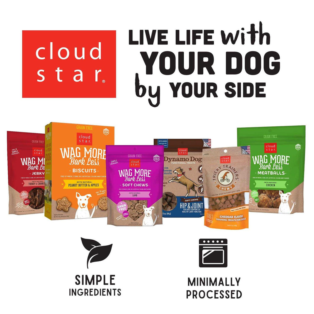 Pumpkin & Ginger Dog Treats V827