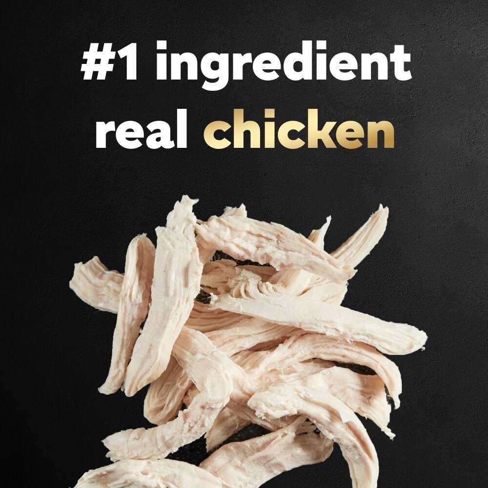 Chicken & Beef Recipe Wet Dog Food A1334