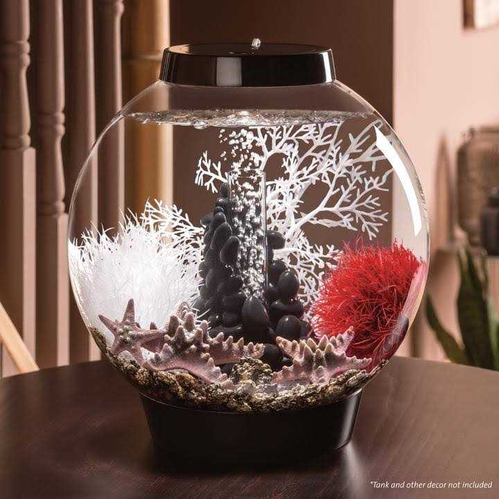 Classic 60 Aquarium with LED B42876