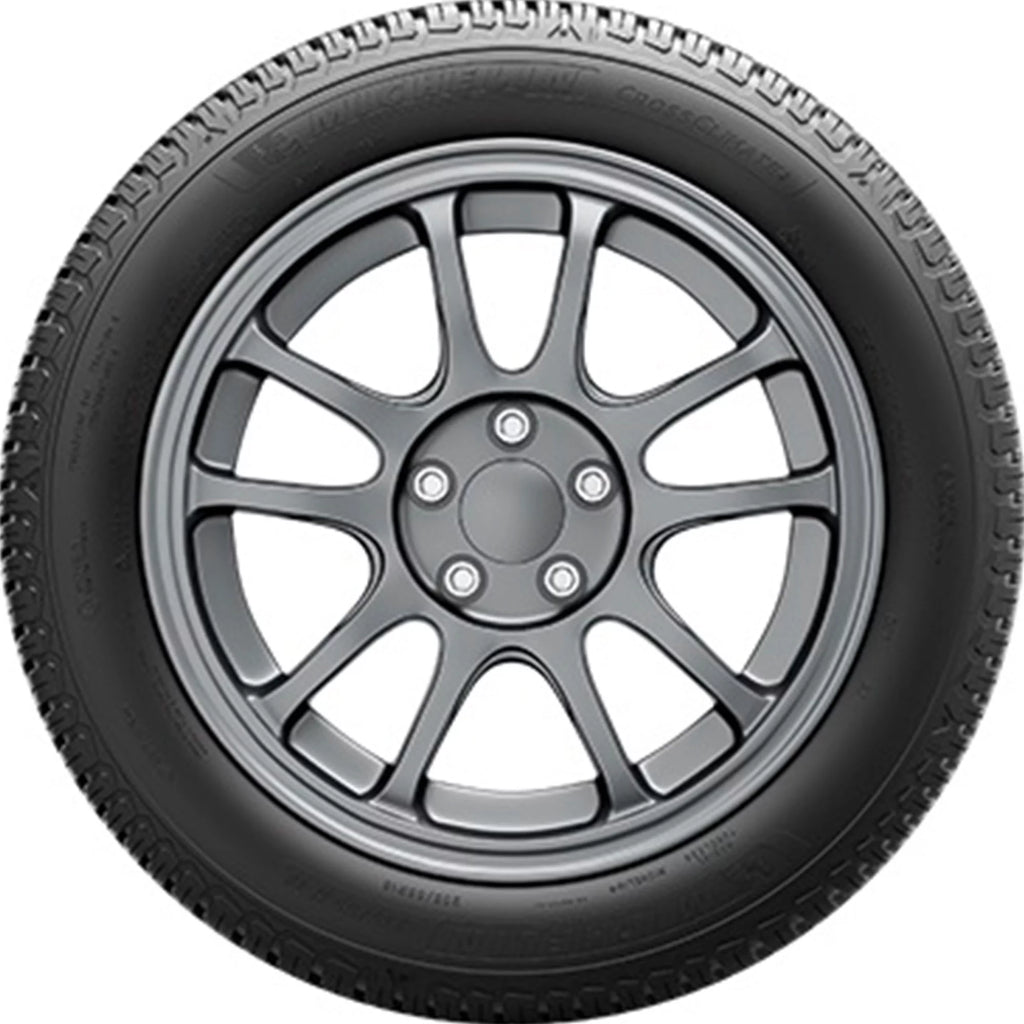 All Weather 245/55R19 103V Tire W40812