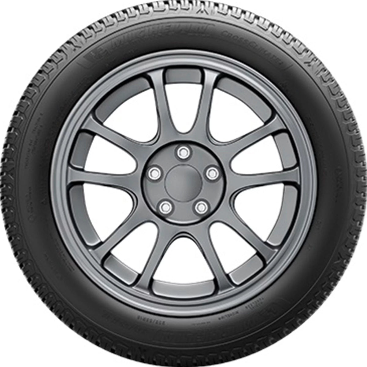 All Weather 245/55R19 103V Tire W40812