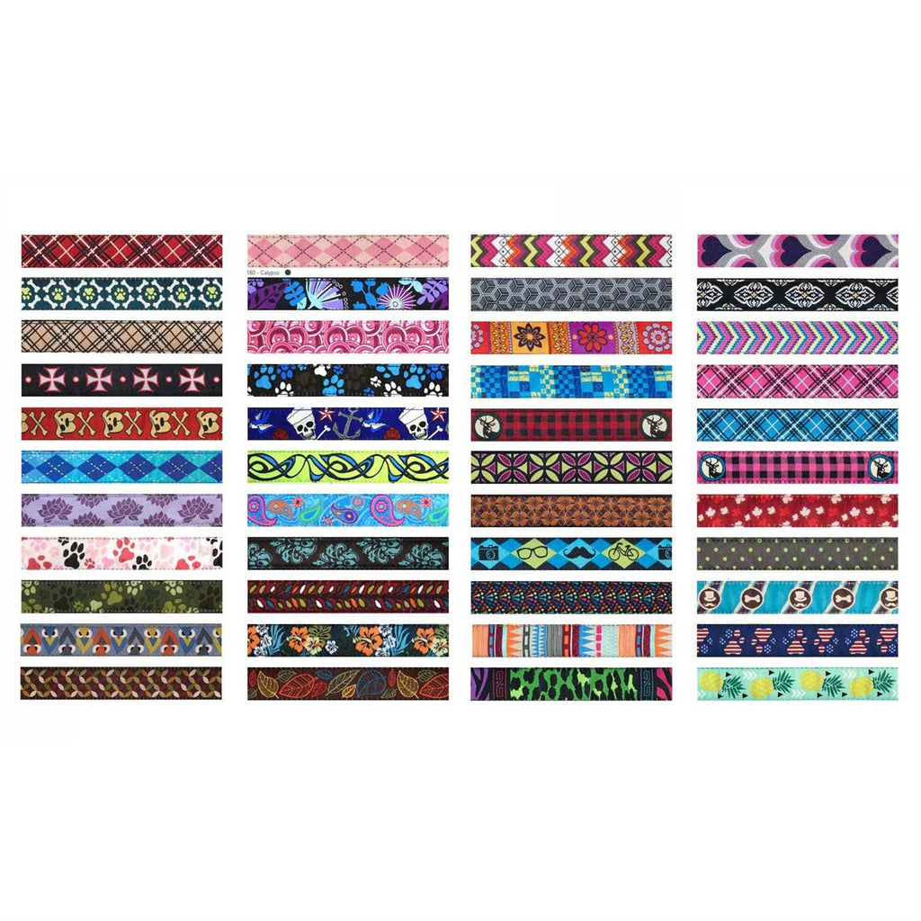Dog Collar V991