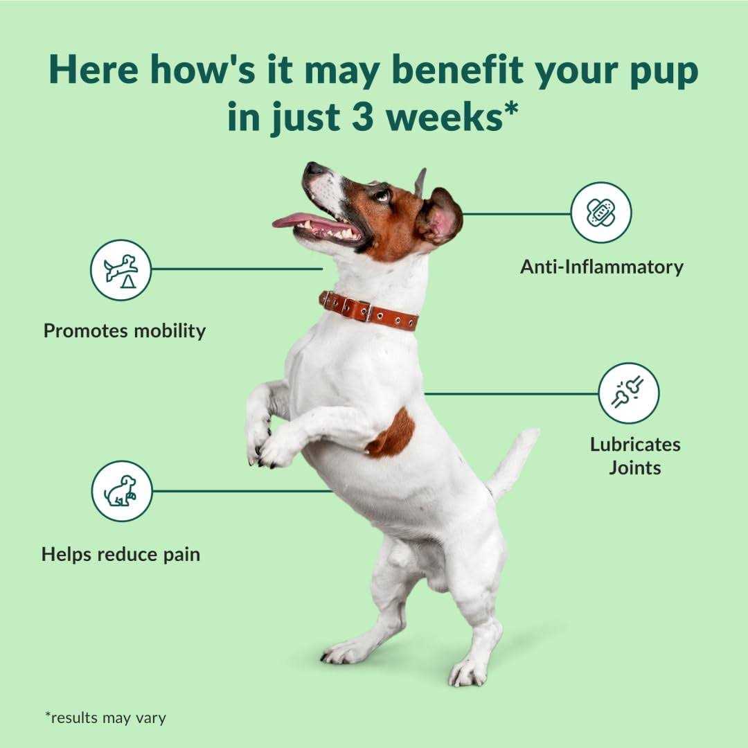 Chewable Dog Hip and Joint Supplement D325841