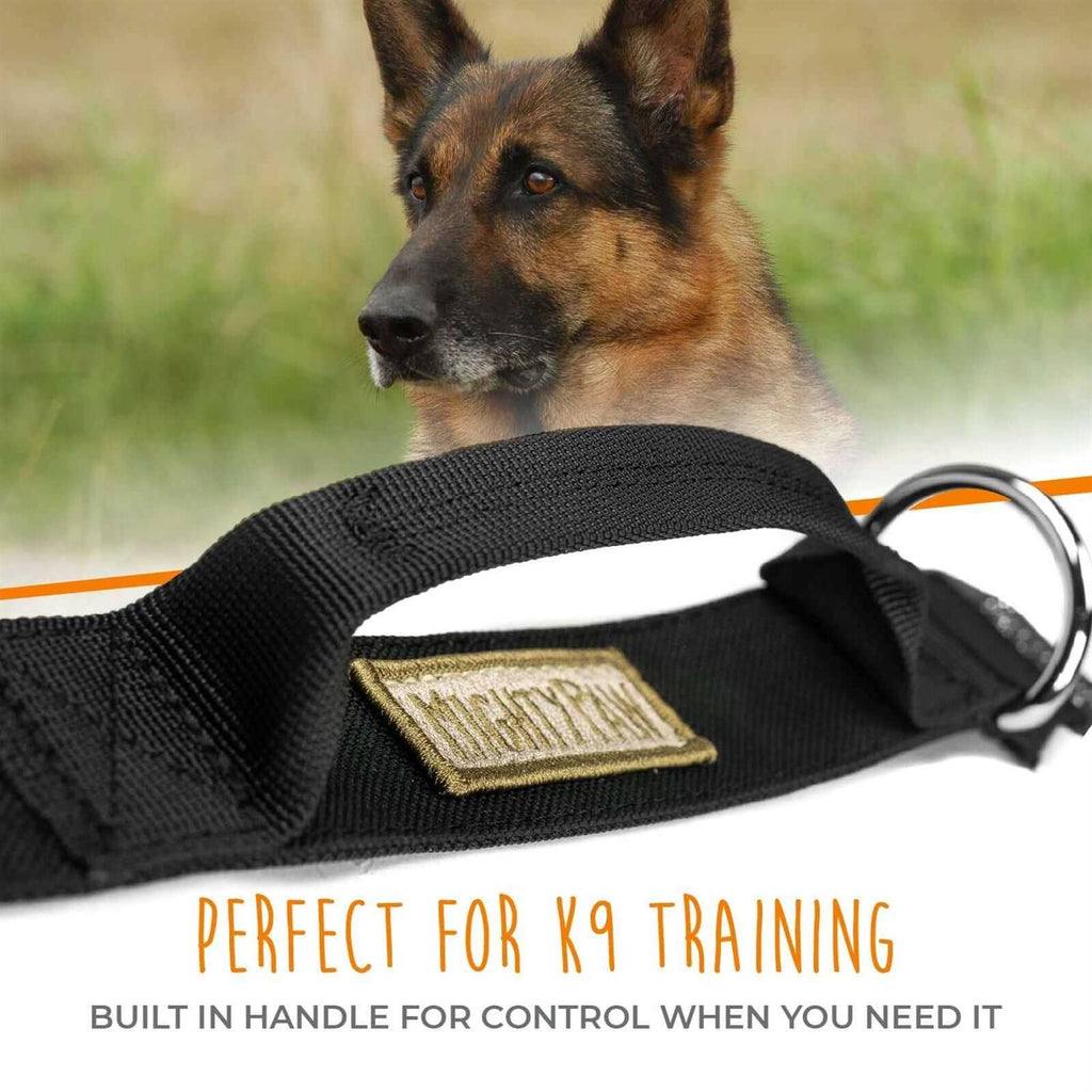 Heavy Duty Dog Collar with Metal Buckle T869