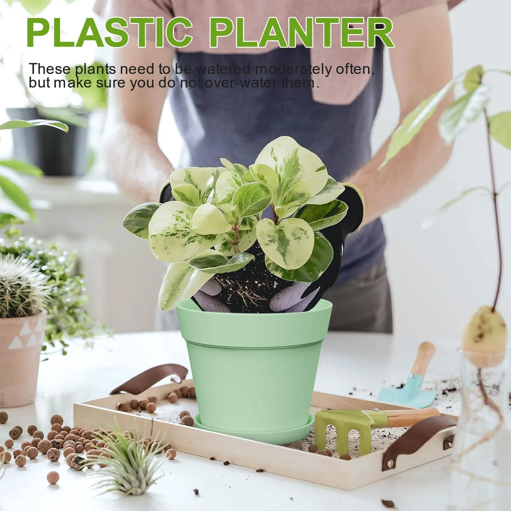 6 Inch Plastic Planters 16 Pack White V2788