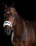 Black Sheepskin Bridle Y89563