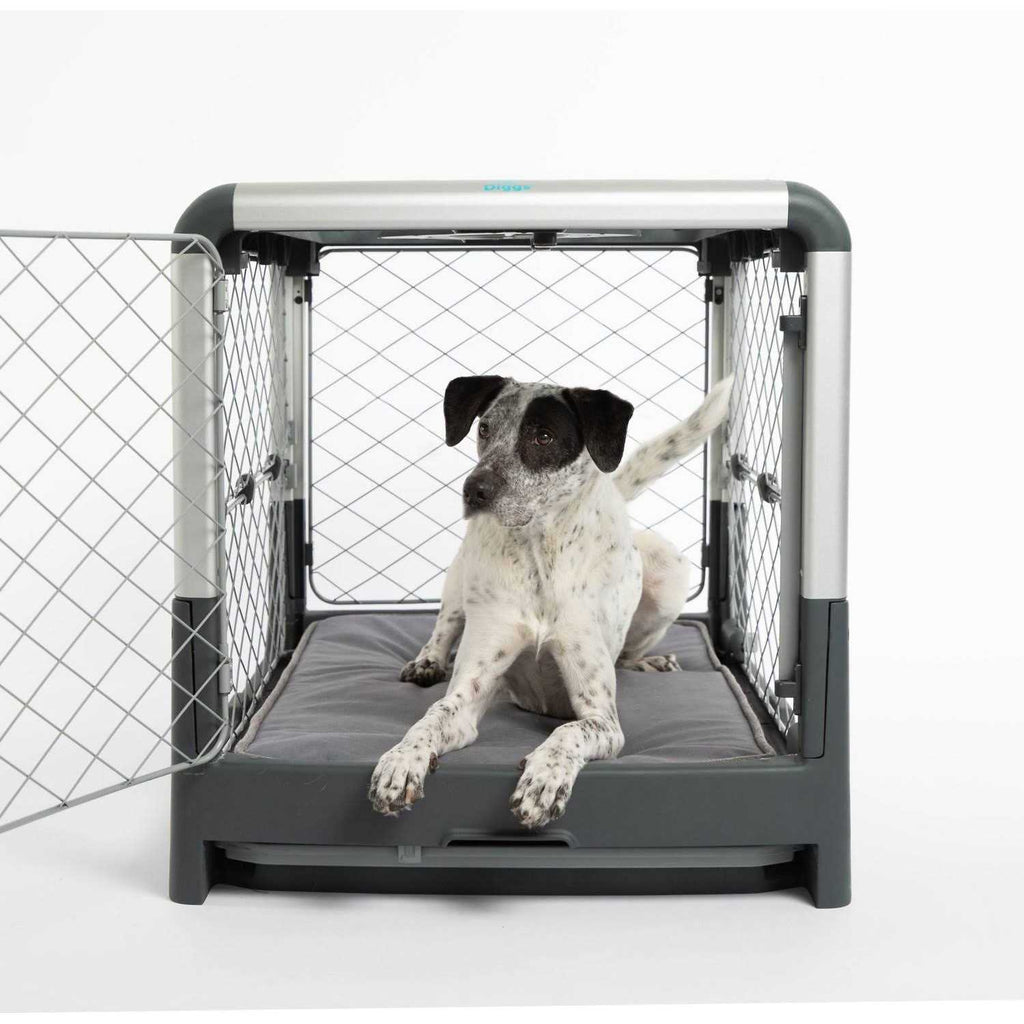Memory Foam Crate Pad & Dog Bed D492831