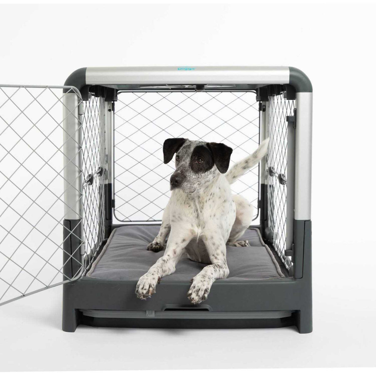 Memory Foam Crate Pad & Dog Bed D492831