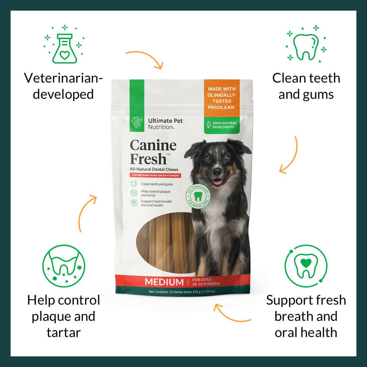 All Natural Canine Dental Chews Sticks U6117