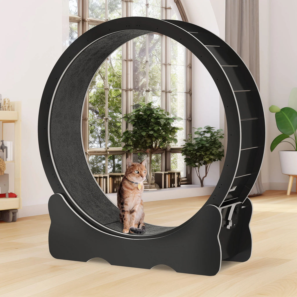 43.3 inch Cat Exercise Wheel with Detachable Carpet T662862