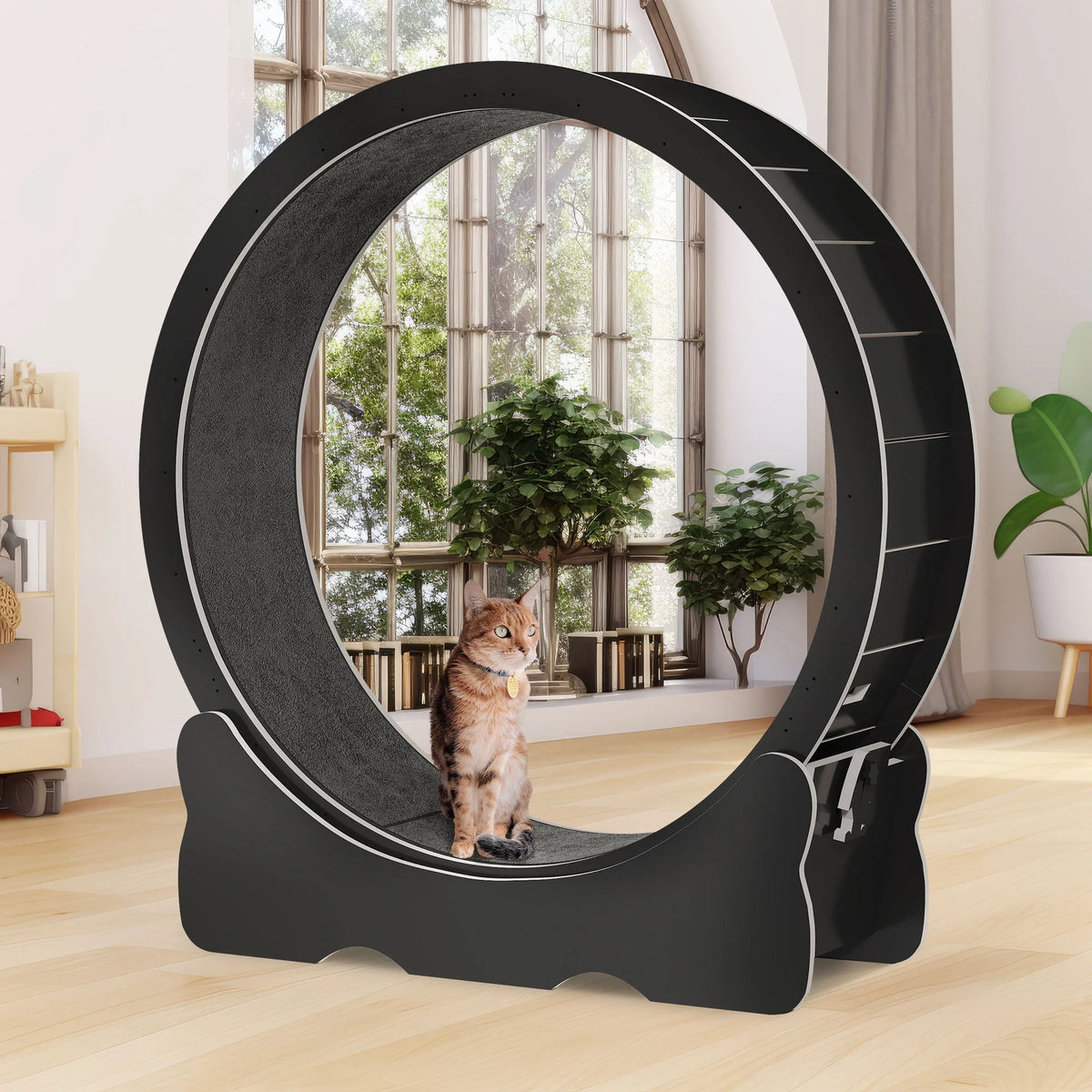 43.3 inch Cat Exercise Wheel with Detachable Carpet T662862