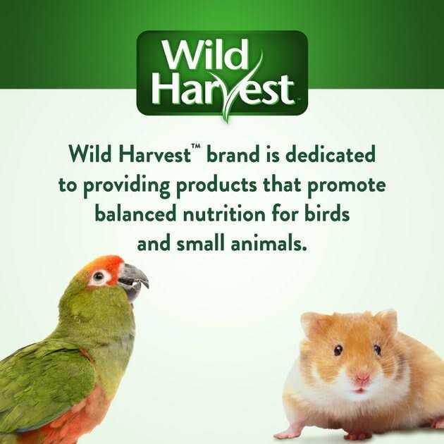 Universal Blend Birds N923615