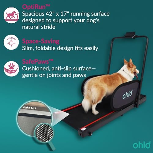 Portable Pet Treadmill with Wheels & Remote Control E221