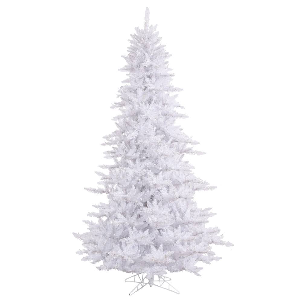 White Fir Tree T3799