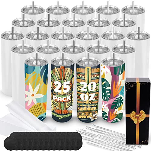 20 oz 10 Pack Stainless Steel Insulated Sublimation Tumblers with Lid and Straw O27081