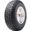 All-Season Tire Z484549