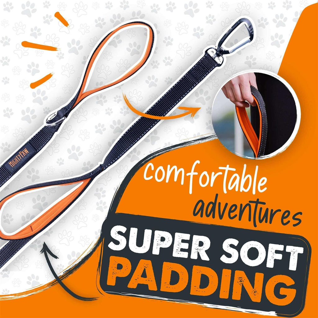Dual Handle Dog Leash Q78727