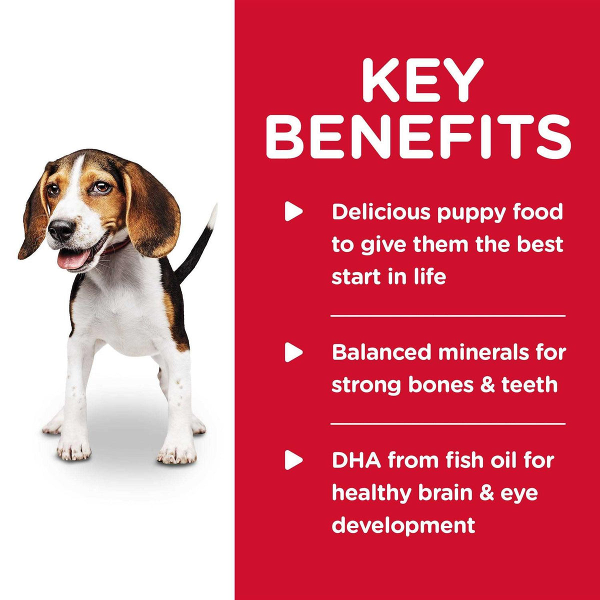 Chicken & Barley Dog Food Y803614