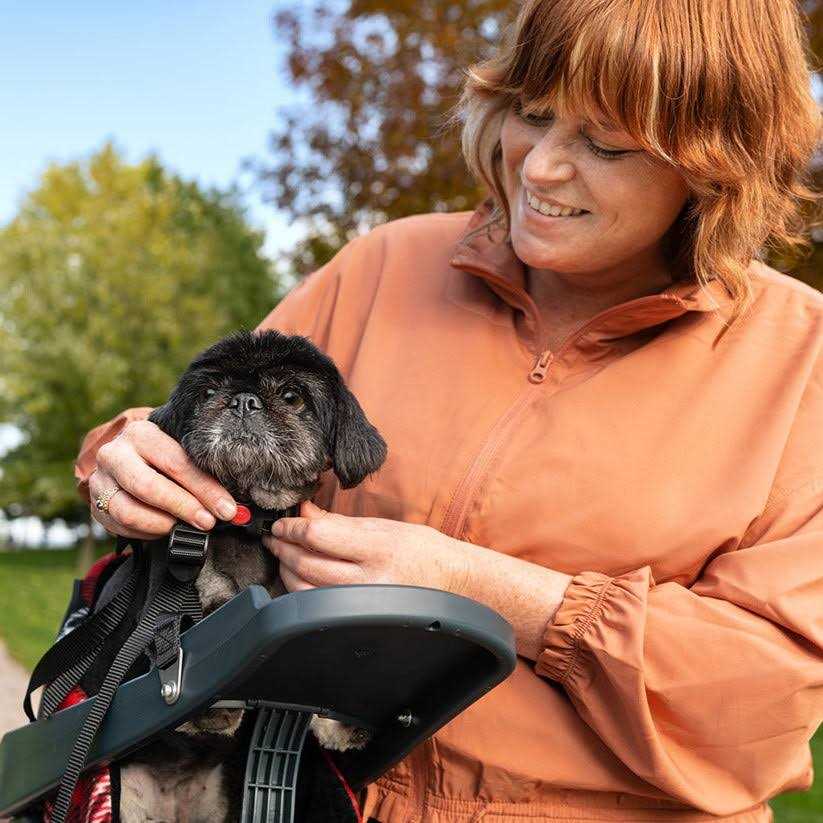 Dog Bicycle Seat for Dogs Up To 25 lbs Q25323