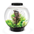 Classic 60 Aquarium with LED B42876