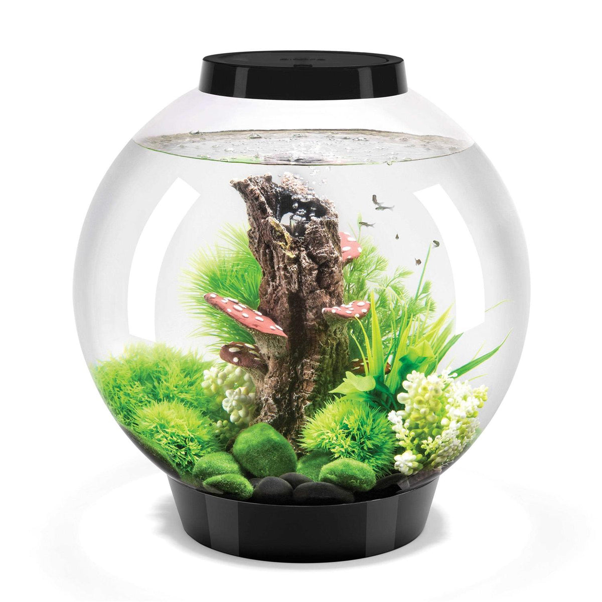 Classic 60 Aquarium with LED B42876