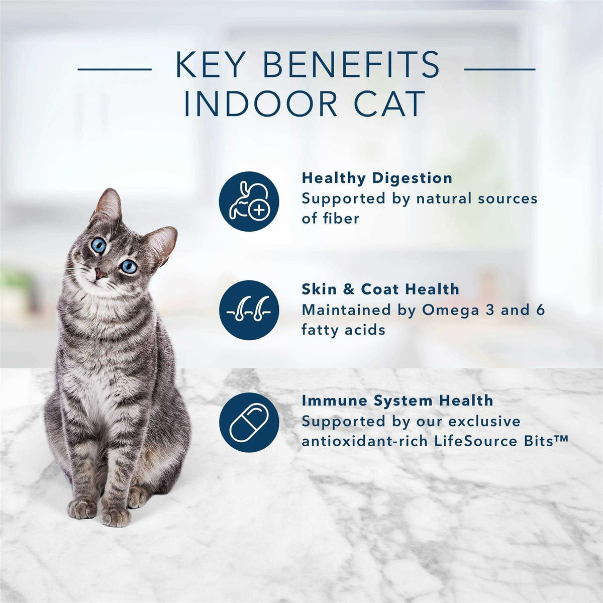 Adult Cat Food Chicken & Brown Rice Recipe R840142