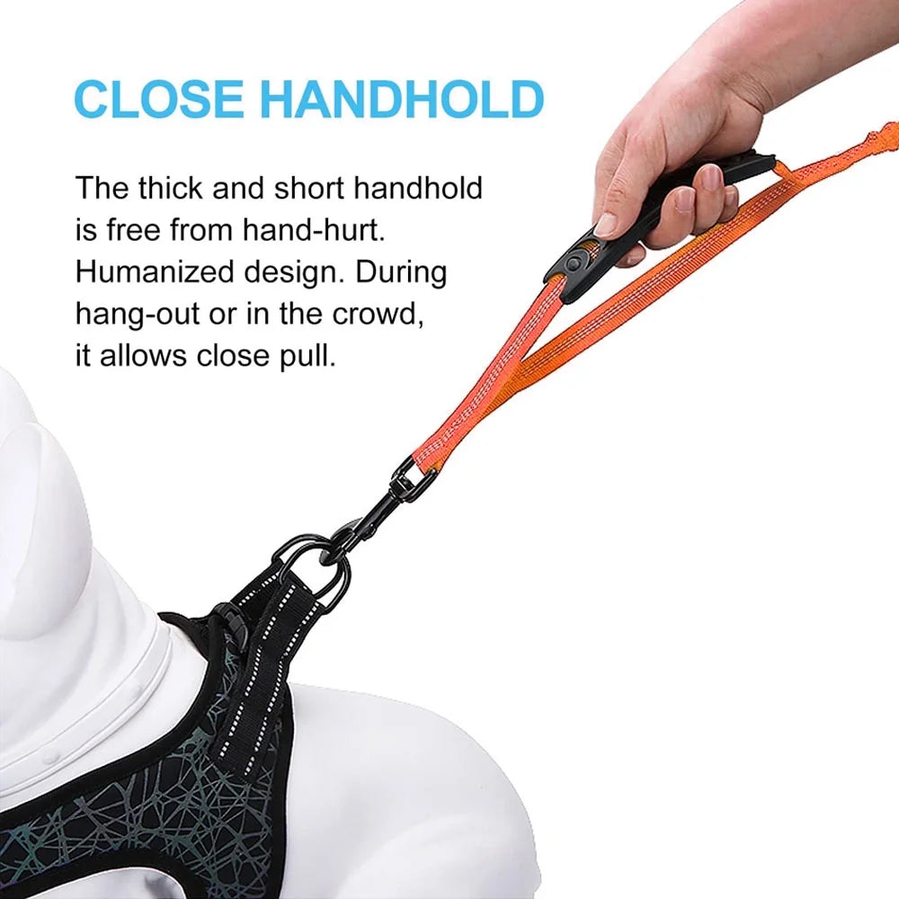 High Reflective Elastic Bungee Dog Leash with Cushion Handle E192