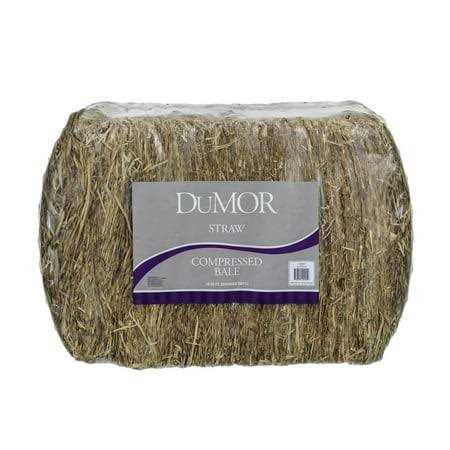 Wheat Straw Pet Bedding N595544