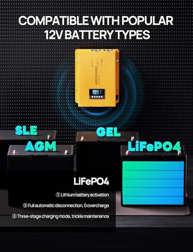 3000W 12V Pure Sine Wave Inverter Charger Y4416