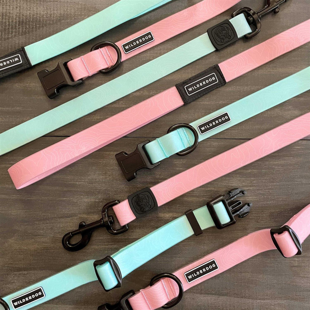 Waterproof Leash E801