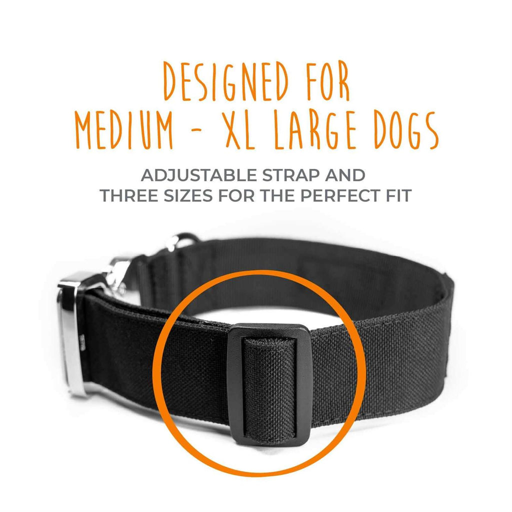 Heavy Duty Dog Collar with Metal Buckle T869