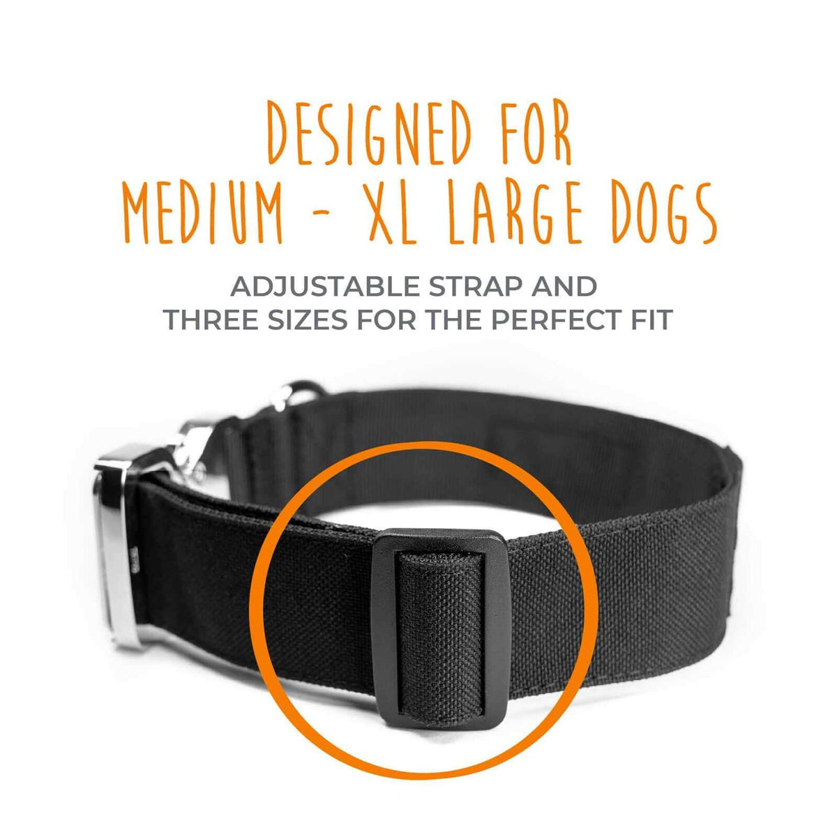 Heavy Duty Dog Collar with Metal Buckle T869