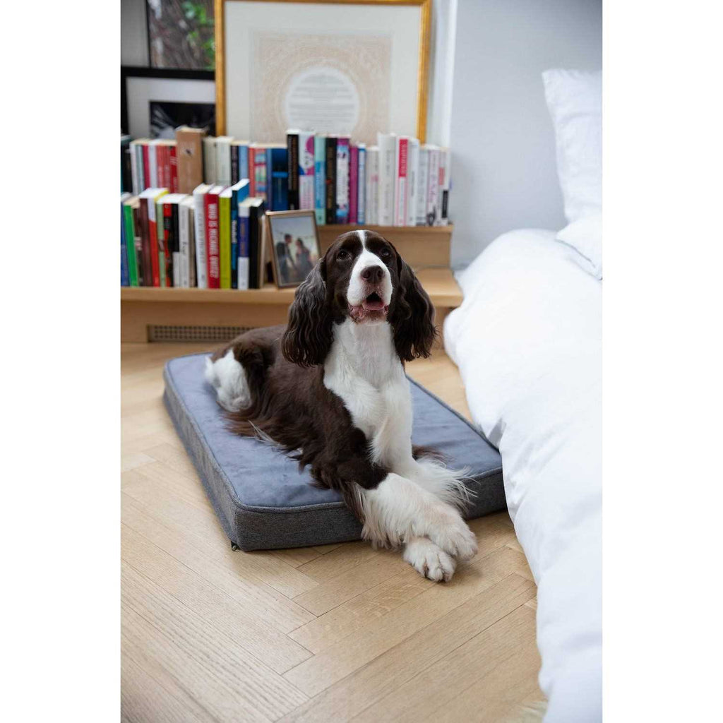 Memory Foam Crate Pad & Dog Bed D492831