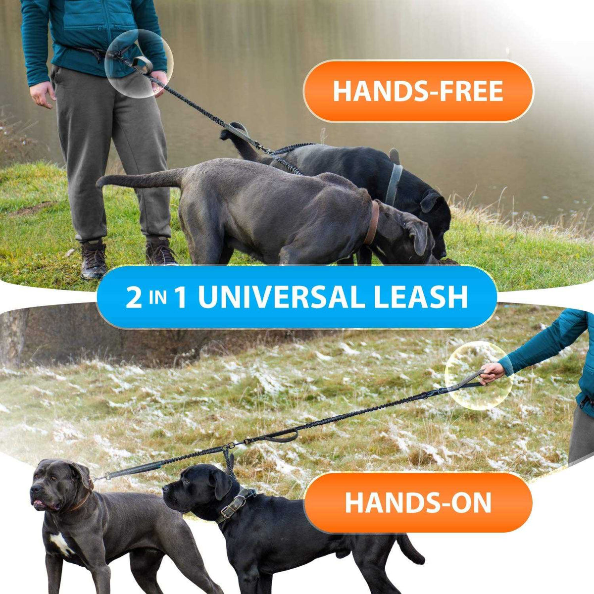 Hands Free Double Dog Leash Q180