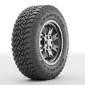 275/60R20 115S All-Terrain Tire E24156