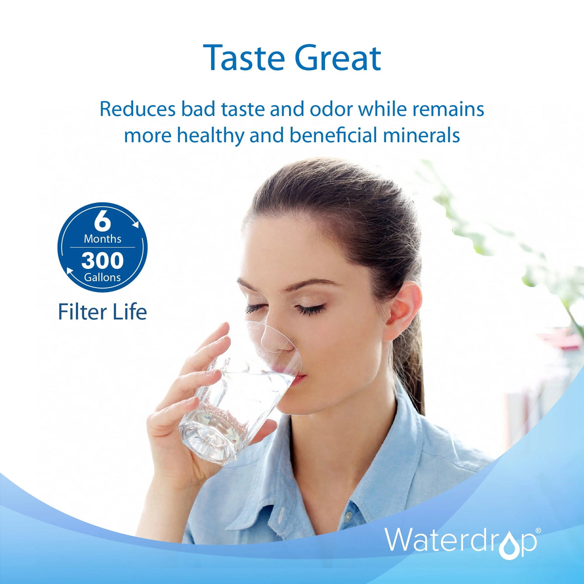 Refrigerator Water Filter, 6 Filters T2092
